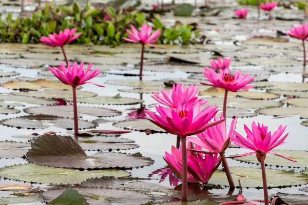 8D7N Eastern Thailand Tour - photo 11